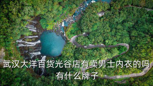 武漢大洋百貨光谷店有賣男士內衣的嗎 有什么牌子