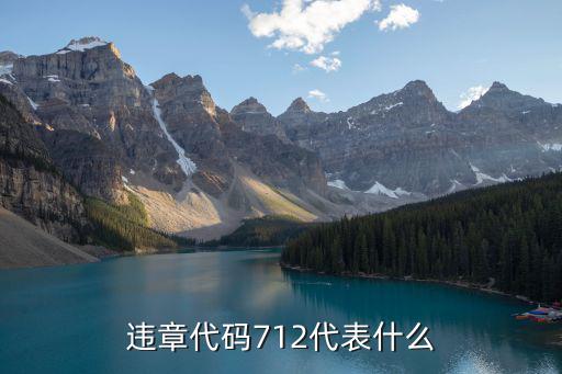 違章代碼712代表什么