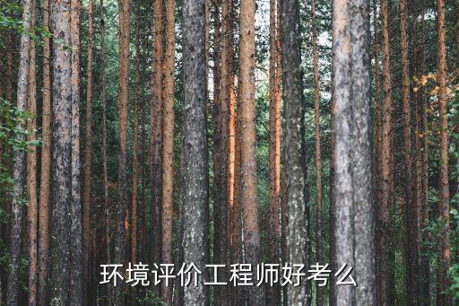 環境評價工程師好考么