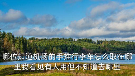 行李手推車(chē)，哪位知道機(jī)場(chǎng)的手推行李車(chē)怎么取在哪里我看見(jiàn)有人用但不知道去哪里