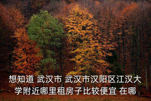 想知道 武漢市 武漢市漢陽區(qū)江漢大學(xué)附近哪里租房子比較便宜 在哪