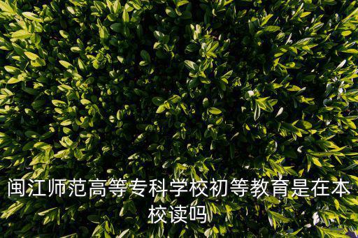 閩江師范高等專科學校初等教育是在本校讀嗎