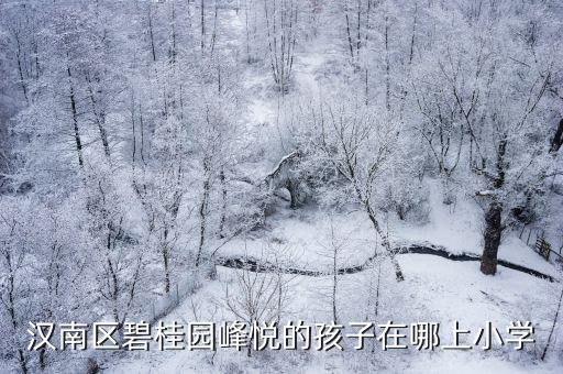 漢南區(qū)碧桂園峰悅的孩子在哪上小學(xué)