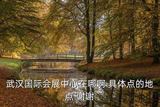 武漢國際會(huì)展中心在哪啊 具體點(diǎn)的地點(diǎn) 謝謝