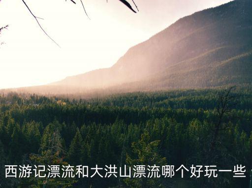 西游記漂流和大洪山漂流哪個好玩一些