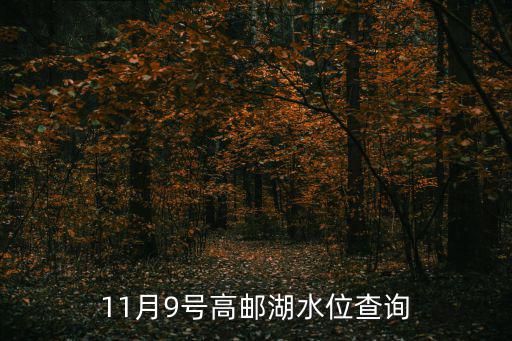 11月9號高郵湖水位查詢