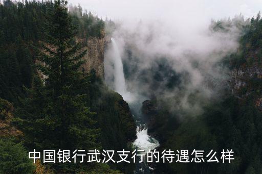 中國銀行武漢支行的待遇怎么樣