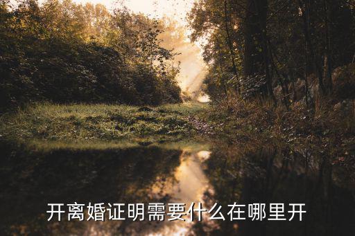 開離婚證明需要什么在哪里開