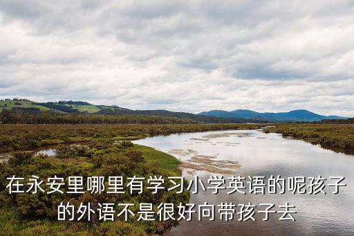 在永安里哪里有學習小學英語的呢孩子的外語不是很好向帶孩子去