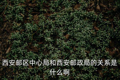 中心局，郵件離開長沙市已發往長沙郵局中心局是什么意思啊可我的收貨地址