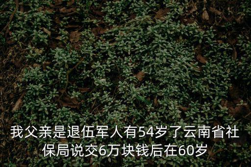 我父親是退伍軍人有54歲了云南省社保局說交6萬塊錢后在60歲
