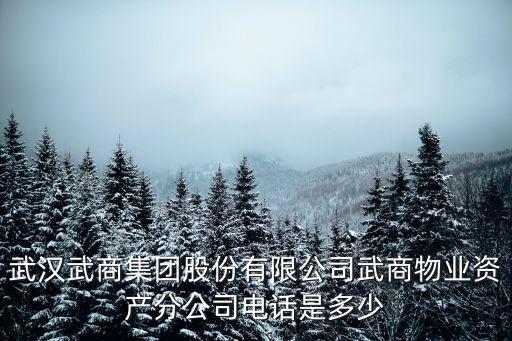 武商集團(tuán)，武商集團(tuán)員工年休假期不包括
