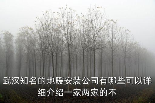 武漢知名的地暖安裝公司有哪些可以詳細介紹一家兩家的不