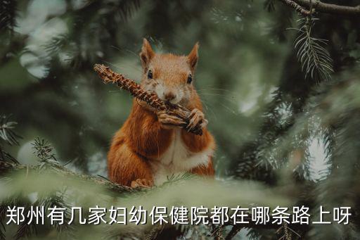鄭州市婦幼，鄭州婦幼保健醫院怎么樣