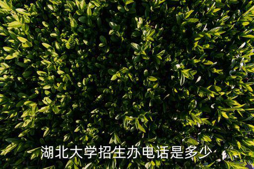 湖北大學招生辦電話是多少
