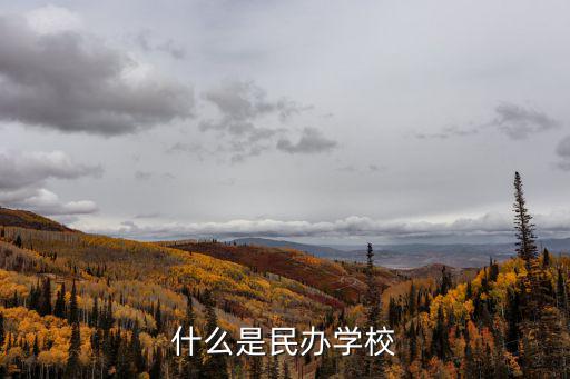 什么是民辦學校