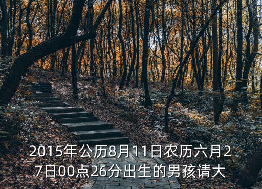 2015年公歷8月11日農(nóng)歷六月27日00點26分出生的男孩請大