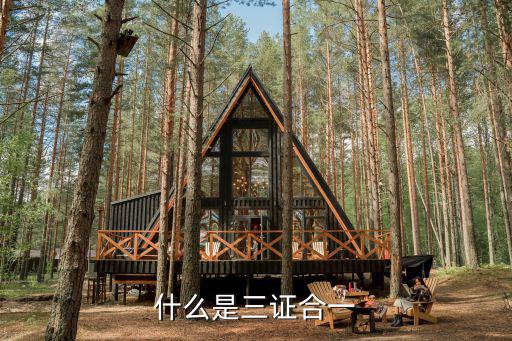 什么是三證合一