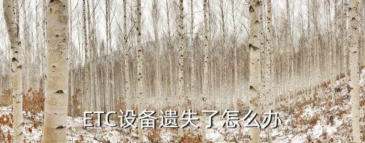 ETC設備遺失了怎么辦