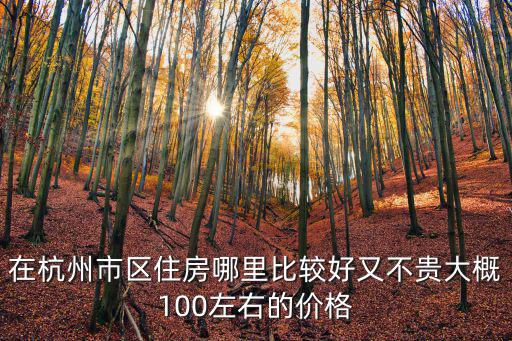 杭州房子，在杭州市區住房哪里比較好又不貴大概100左右的價格