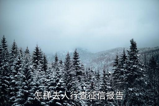 人行征信報(bào)告，如何查詢并打印個人征信報(bào)告