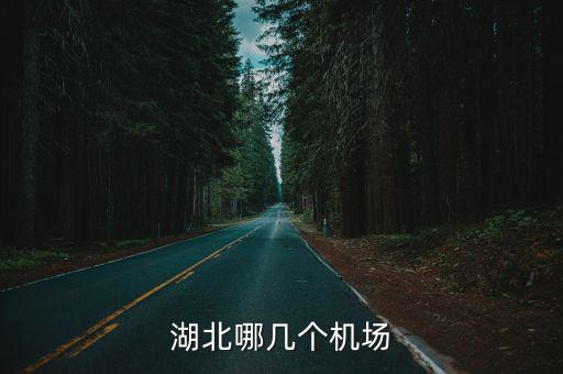 湖北哪幾個機場