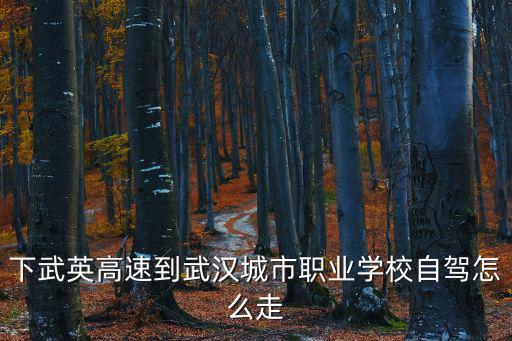 武漢城市職業(yè)學院官網(wǎng)，武漢城市職業(yè)學校離湖北交通學院近嗎