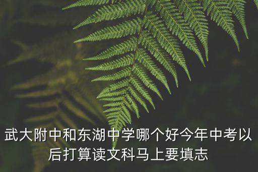 武大附中和東湖中學哪個好今年中考以后打算讀文科馬上要填志