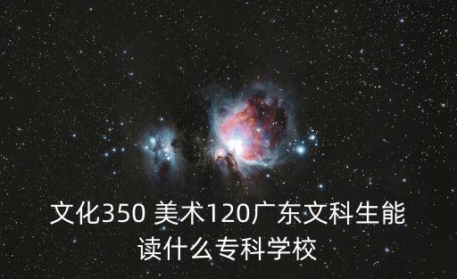 文化350 美術120廣東文科生能讀什么專科學校