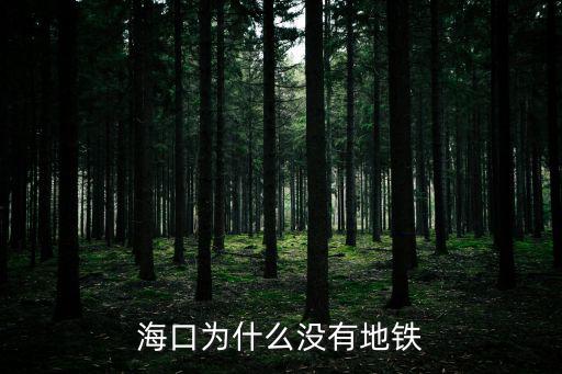 海口為什么沒有地鐵