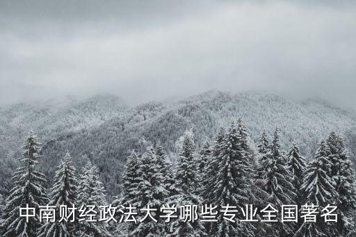 中南財經政法大學哪些專業(yè)全國著名