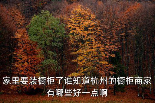 杭州整體櫥柜，杭州整體櫥柜一般什么價格有性價比好一點的品牌推薦沒