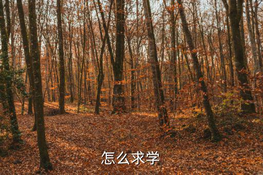 怎么求學