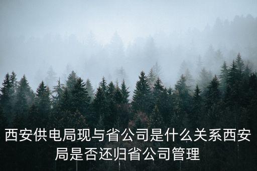 西安供電局現(xiàn)與省公司是什么關(guān)系西安局是否還歸省公司管理