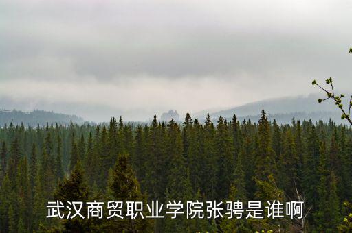 武漢商貿職業學院官網，武漢商貿職業學院張騁是誰啊