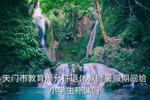 天門市教育局允許退休教師暑假期間給小學(xué)生補課嗎
