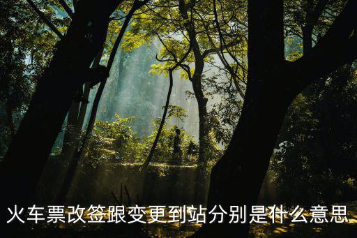 火車票改簽跟變更到站分別是什么意思