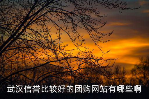 武漢信譽比較好的團購網站有哪些啊