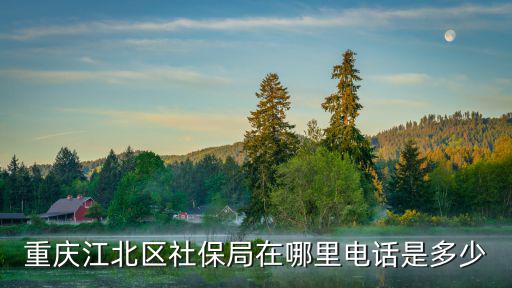江北區(qū)人力資源和社會保障局，江北區(qū)社保局的地址