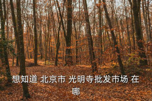 想知道 北京市 光明寺批發市場 在哪