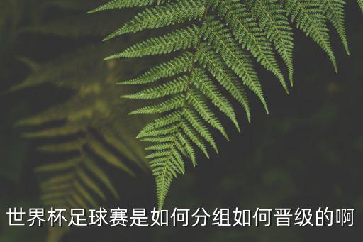 世界杯足球賽是如何分組如何晉級的啊