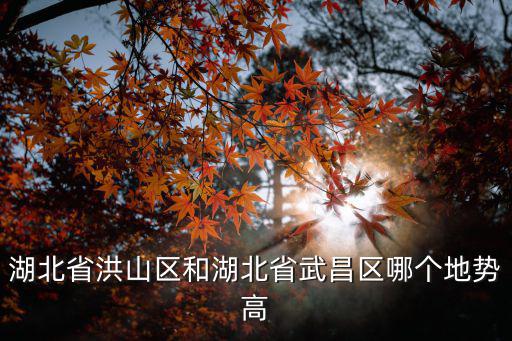 湖北省洪山區(qū)和湖北省武昌區(qū)哪個(gè)地勢(shì)高