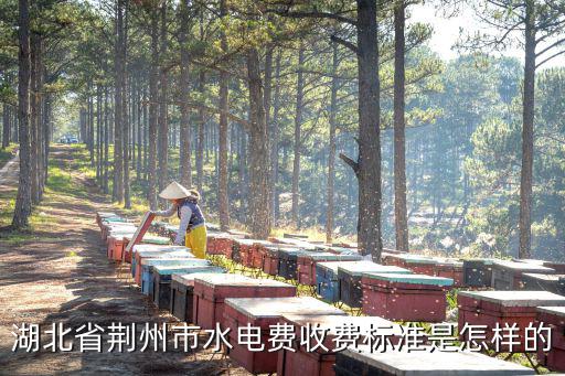 湖北省荊州市水電費收費標準是怎樣的