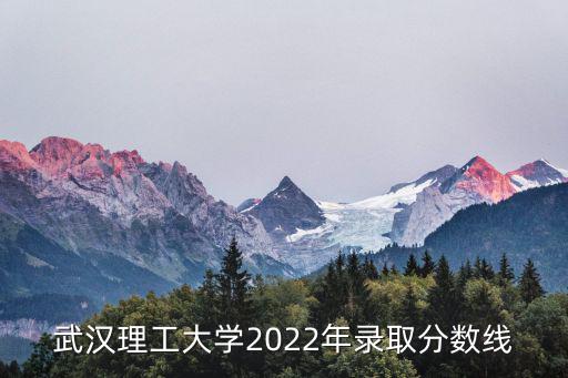 武漢理工大學2022年錄取分數線