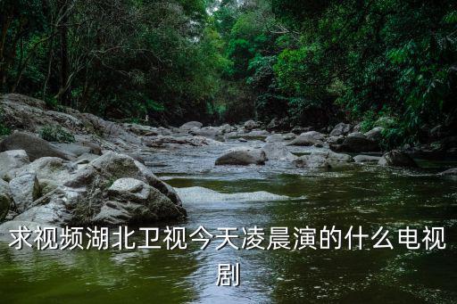 求視頻湖北衛(wèi)視今天凌晨演的什么電視劇