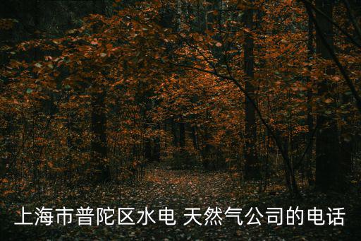 上海市普陀區水電 天然氣公司的電話