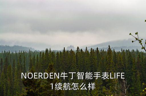 NOERDEN牛丁智能手表LIFE1續(xù)航怎么樣