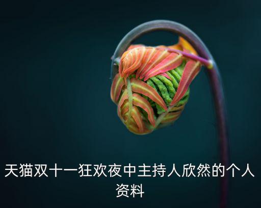 天貓雙十一狂歡夜中主持人欣然的個人資料