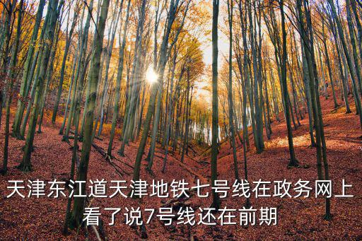 七號(hào)線，長(zhǎng)沙地鐵7號(hào)線的介紹