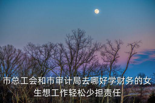 福州市總工會(huì)，市總工會(huì)和市審計(jì)局去哪好學(xué)財(cái)務(wù)的女生想工作輕松少擔(dān)責(zé)任